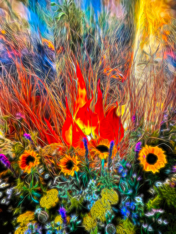 ©Janiece Kinzel - Artificial Reality "Flower Field On Fire"