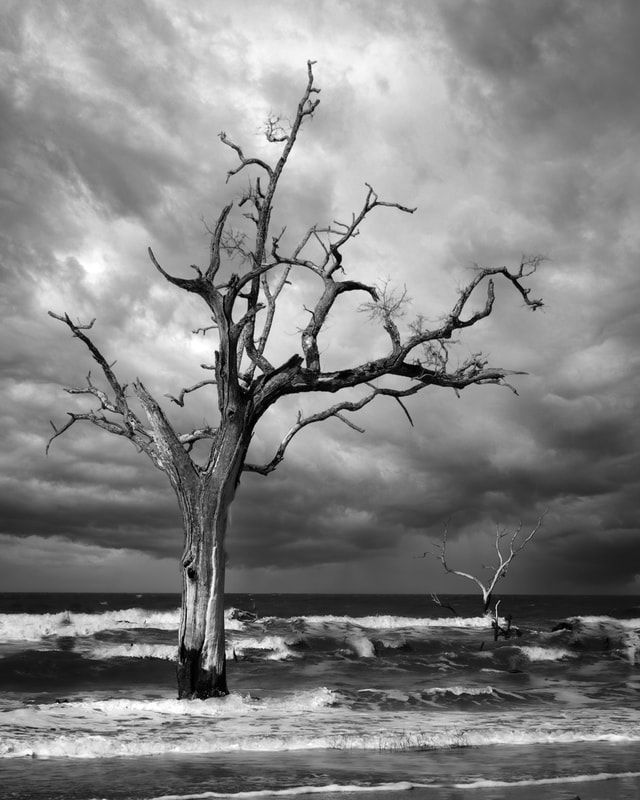 ©Mike Barker "Standing against the tide" - Black & White