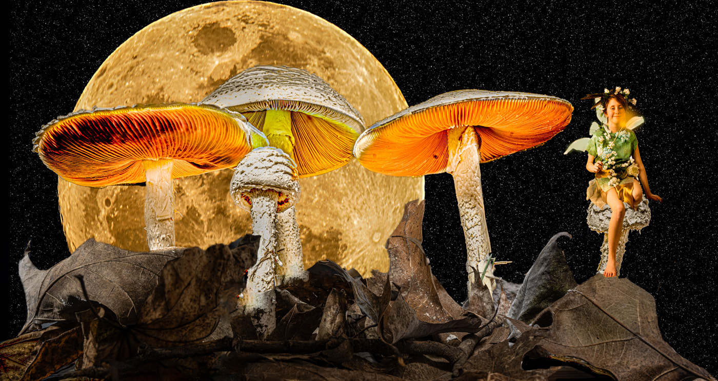 ©Mike Barker "Moon Rise and Fairy Dust" - Altered Reality